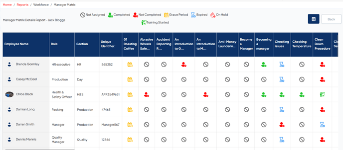Manager Matrix Report